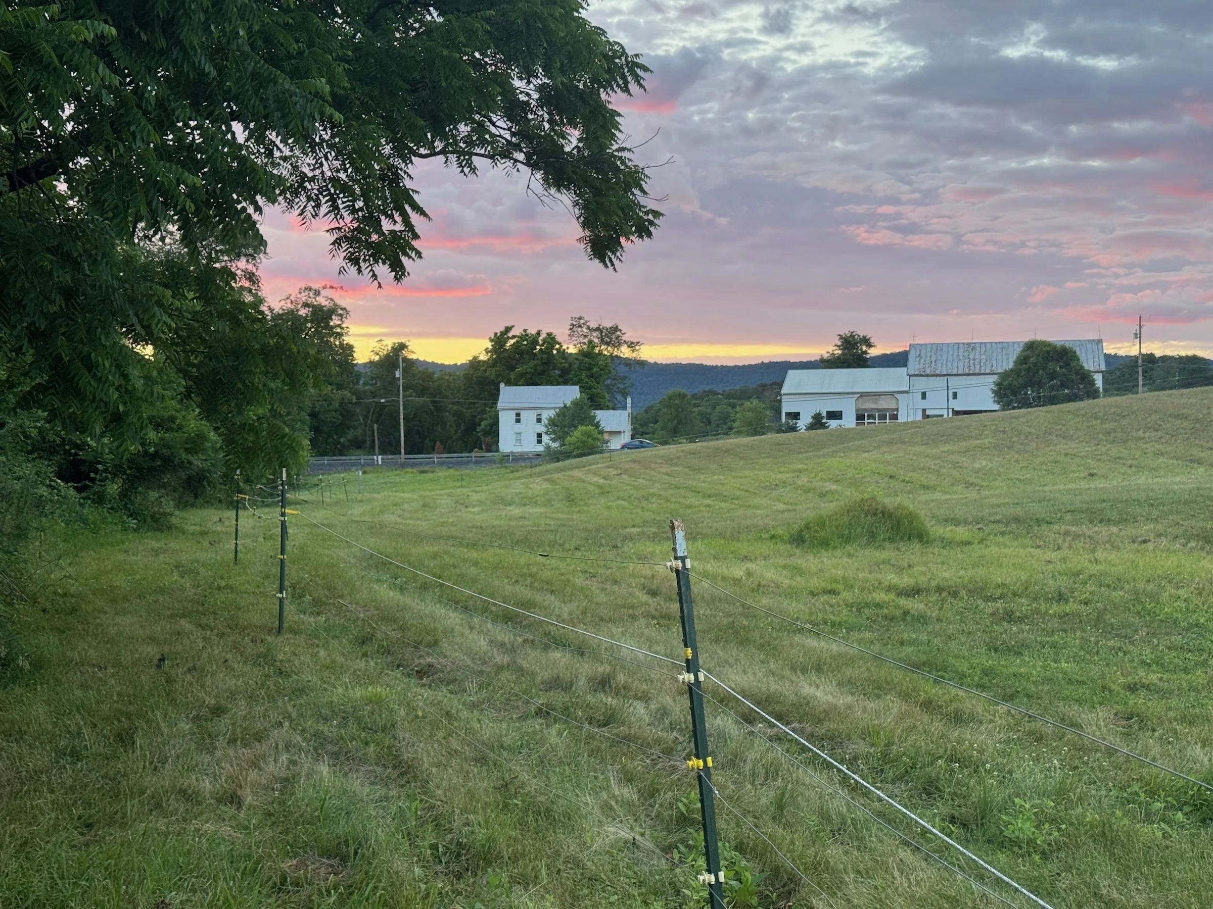 The sunlit field with the farmhouse and barn beyond