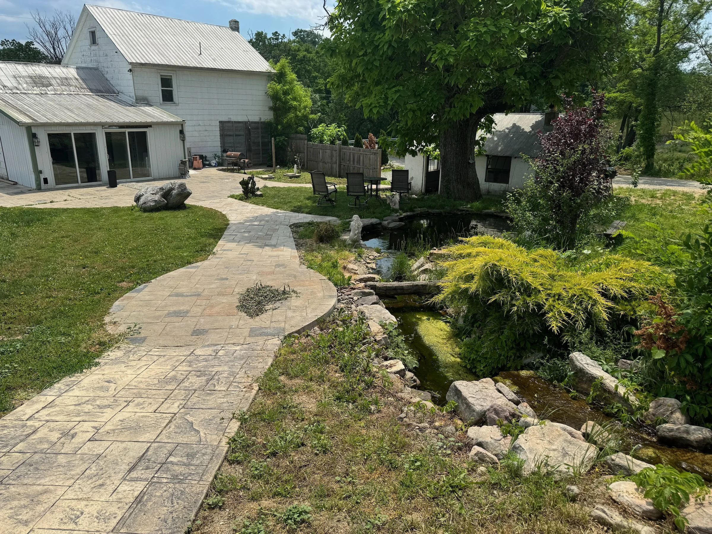 A stone garden path curving under a tree